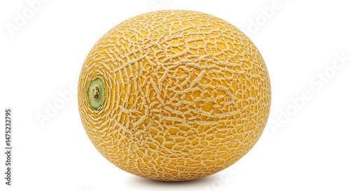 Cantaloupe Melon: High-Res Image