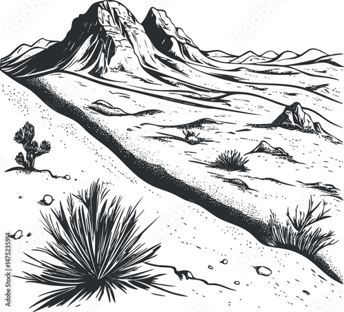 Black and white illustration of a desert landscape with mountains, sparse vegetation, and rocky terrain.