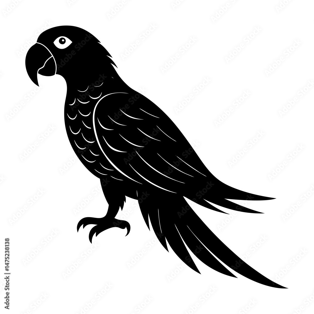 Obraz premium Macaw Silhouette vector