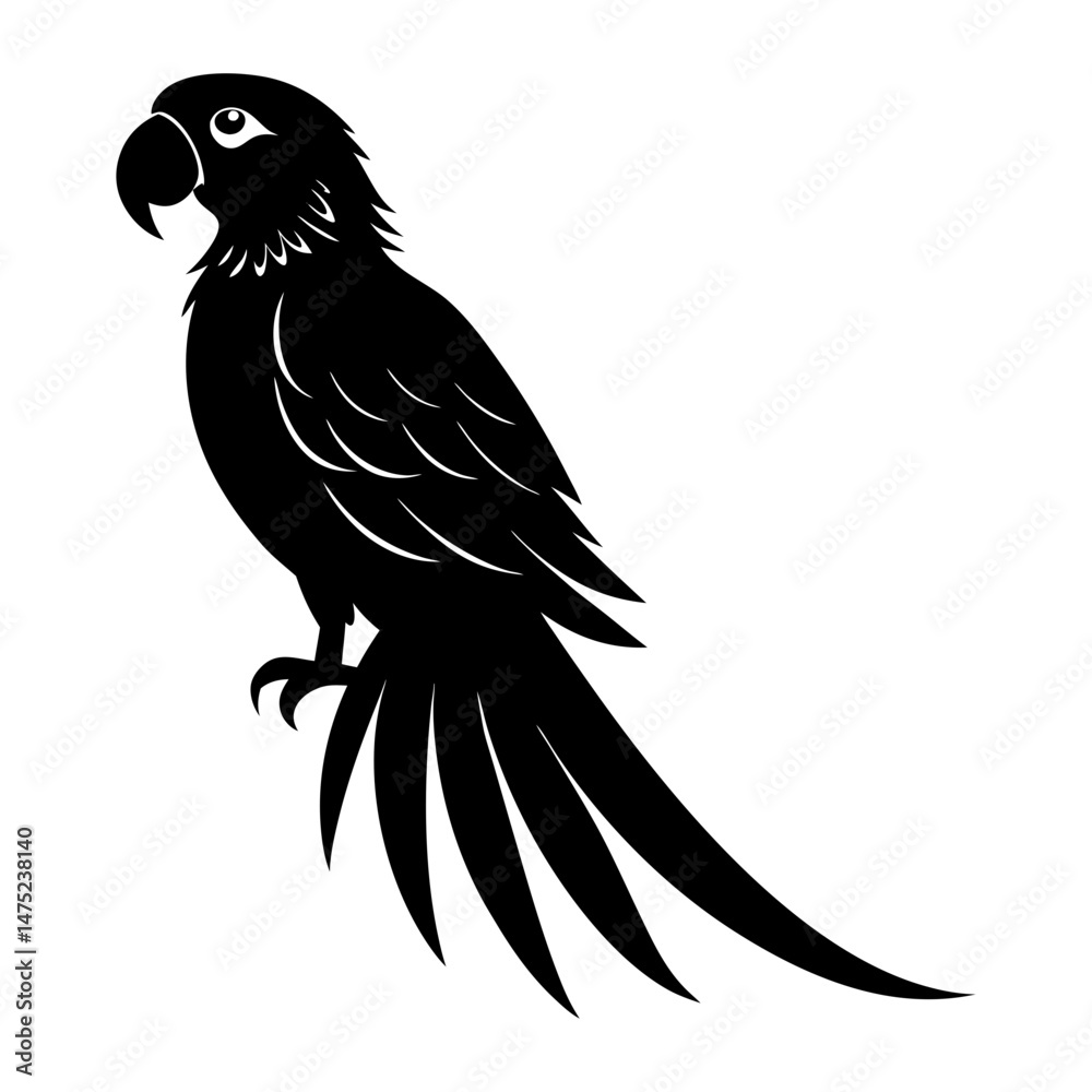 Obraz premium Macaw Silhouette vector