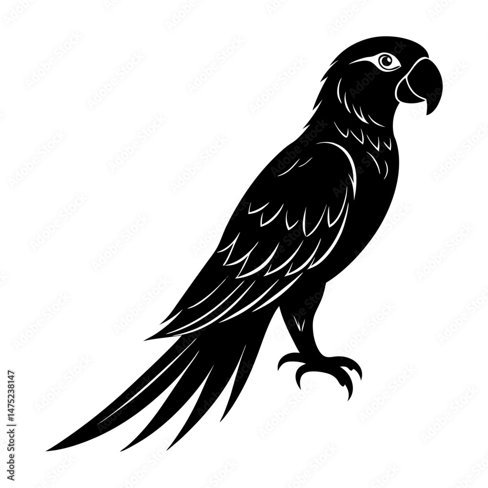 Obraz premium Macaw Silhouette vector
