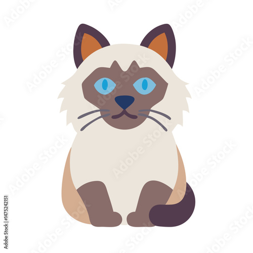 Siamese cat sitting with bright blue eyes isolated on black
