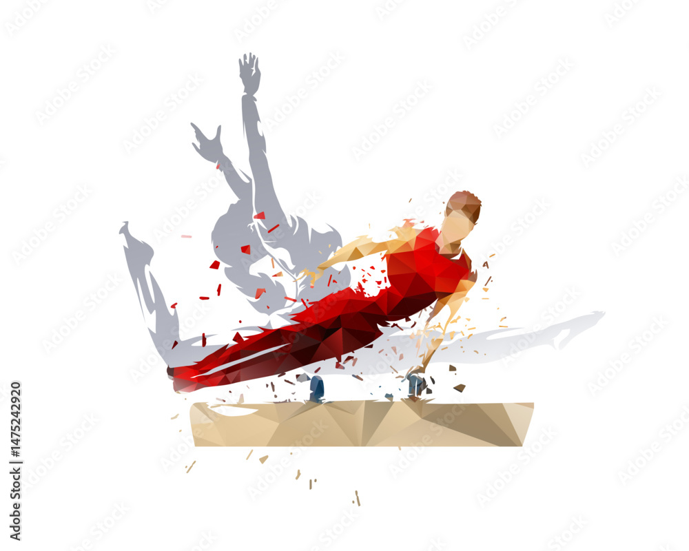 Gymnastics, group od male and female gymnasts, isolated vector illustration on white background
