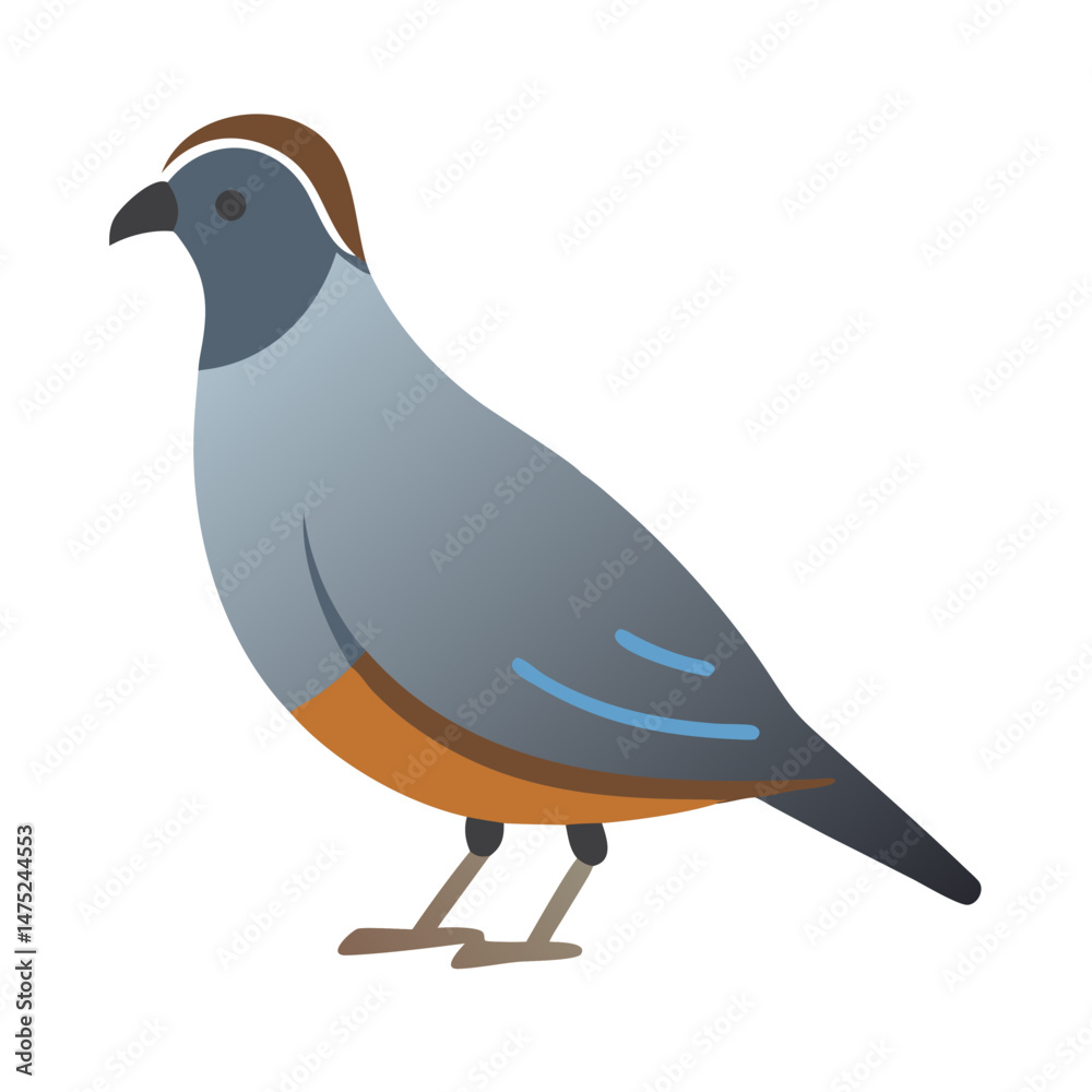 Fototapeta premium Stylized illustration of a California Quail on a black background