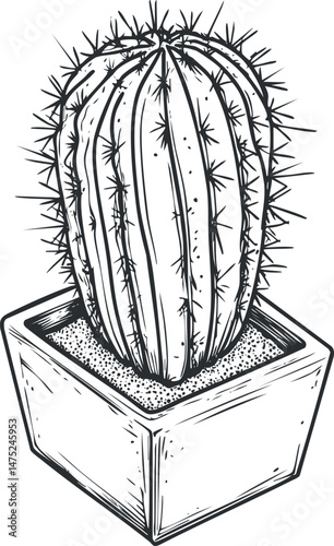 Black and white sketch of a spiky cactus plant in a square pot with detailed thorns and texture