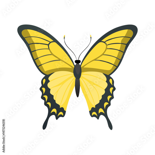 Stylized yellow butterfly isolated on black background illustration