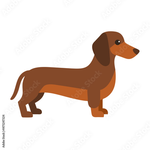 Flat vector illustration of a dachshund dog on black background