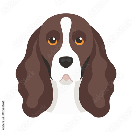 Cute Springer Spaniel dog portrait in minimalist flat style