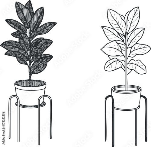 Black and white sketch illustration of two potted houseplants placed on modern metal stands with large leaves.