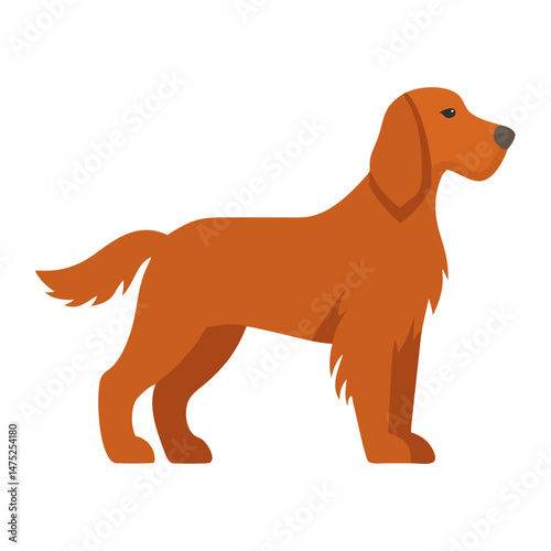 Flat vector illustration of Irish Setter dog on black
