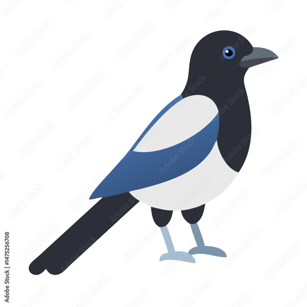 Fototapeta premium Flat vector illustration of a magpie on black background