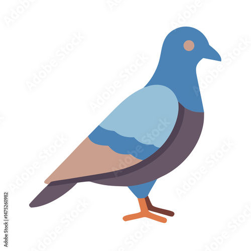 Isolated flat vector illustration of a pigeon standing calmly