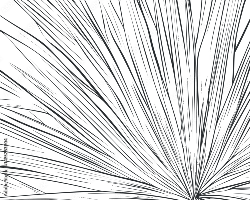 Fototapeta premium Abstract black and white radial lines creating a dynamic linear pattern background design.