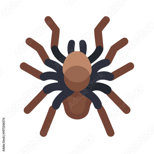 Flat vector icon of a tarantula against black backdrop