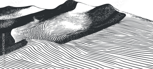 Black and white illustration of desert sand dunes with detailed line patterns and shadows