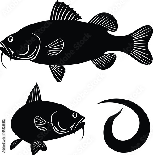 Detailed Catfish Silhouette Set | Freshwater Fish Vector Icons Catfish Silhouettes Collection | Fishing, River Fish, Aquatic Graphic Pack