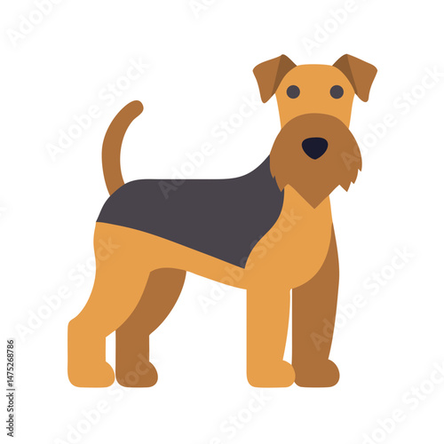 Flat vector illustration of Airedale Terrier dog breed
