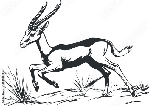Black and white illustration of an antelope running in a natural grassy environment showing speed and agility.