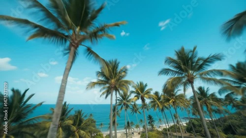 Wallpaper Mural Tropical beach with palm trees and blue sky. Torontodigital.ca