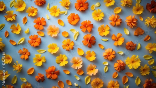 Colorful texture of marigold flower petals as a backdrop