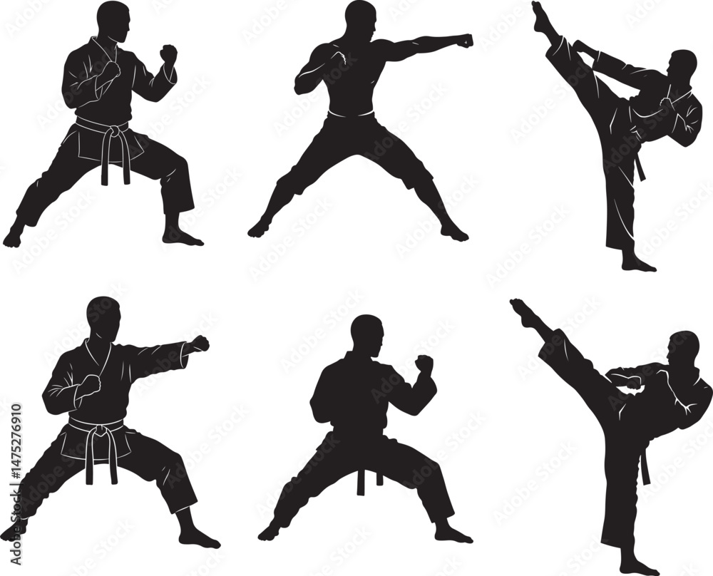 Fototapeta premium Martial Arts Silhouette vector illustration