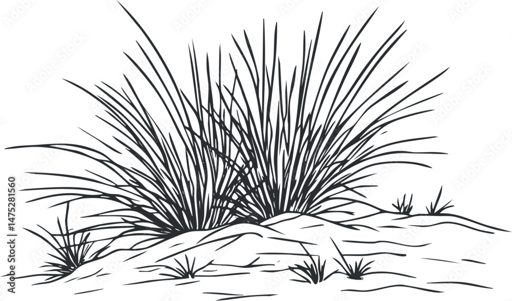 Obraz premium Black and white line drawing of grass and small bushes growing on soil in a natural outdoor environment