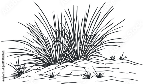 Black and white line drawing of grass and small bushes growing on soil in a natural outdoor environment
