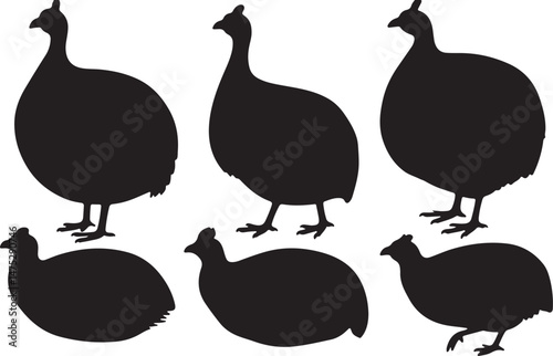 Guinea Fowl Silhouettes art vector