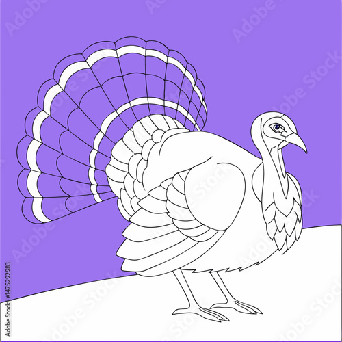 Drawing a continuous line. Turkey on background