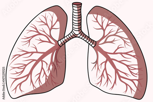 130 anatomically detailed digital illustration of the human lungs, highly realistic, hyperrealistic, scientifically accurate, detailed bronchi and alveoli, photorealistic, 8k, cinematic lighting