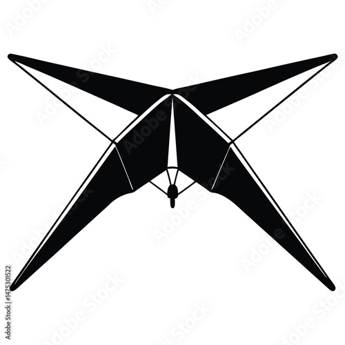 Black and white paper plane, a stark object against a white background