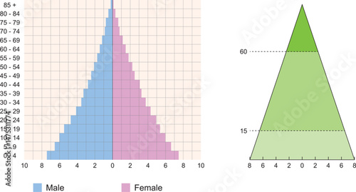 Population Pyramids And Their Types, Life Expectancy on Earth. Types of population pyramids that can be seen in Turkey or other countries.
