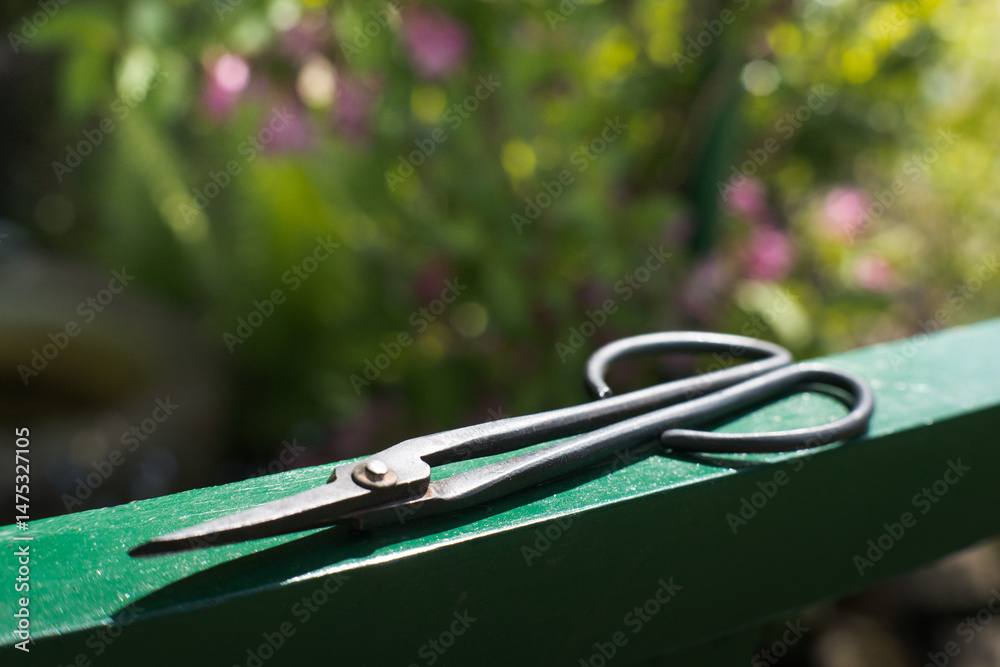 Garden scissors, hand tool, gardening.
