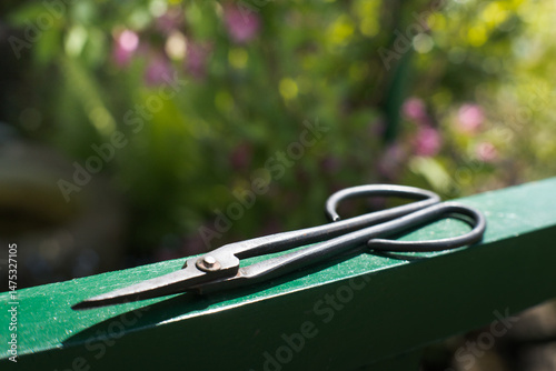 Obraz na płótnie Garden scissors, hand tool, gardening.
w salonie