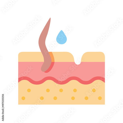 Cross section of skin and hair follicle illustration