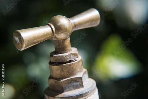 Obraz na płótnie Brass water valve, garden irrigation.
w salonie
