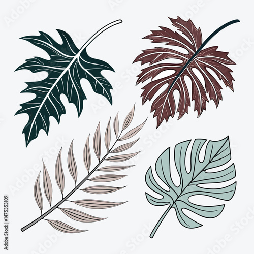 Assortment of Colorful Tropical Leaf Set Illustrations.