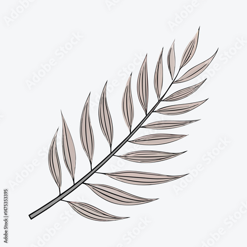 Elegant Botanical Fern Leaf Illustration