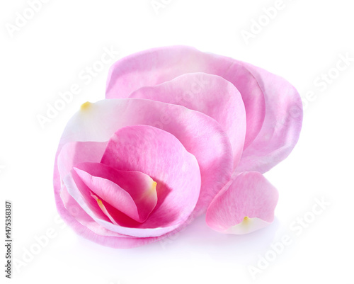 Rose petals in closeup on white background