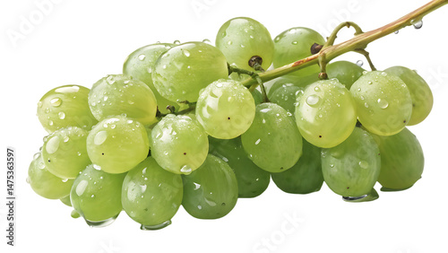 Fresh Green Grapes with Water Droplets – Realistic Fruit PNG on White Background

