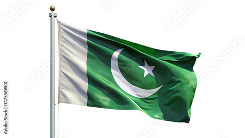 flag of pakistan isolated white background