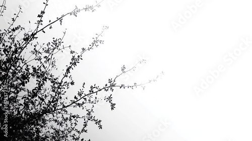 Bare tree branches silhouetted against a moody winter sky with dramatic lighting and shadows creating a captivating minimalist and atmospheric landscape scene