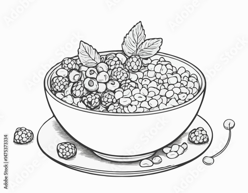 Simple Line Drawing of a Breakfast Bowl with Berries and Granola for Healthy Recipe Cards and Food Blog Illustrations.