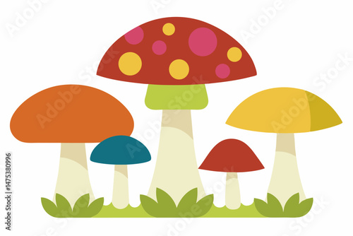 mushrooms in the grass