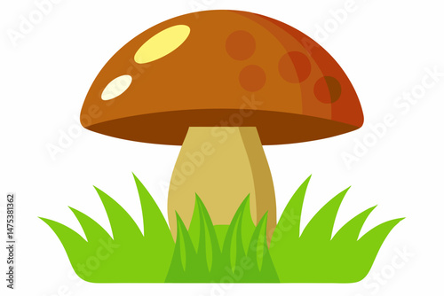mushrooms in grass