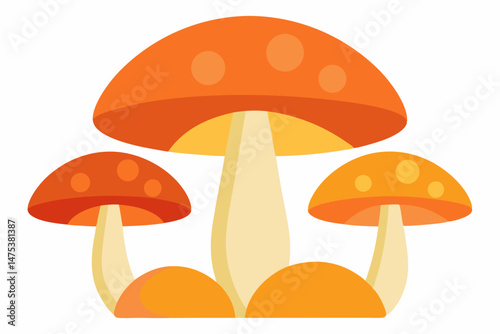 mushrooms isolated on white background