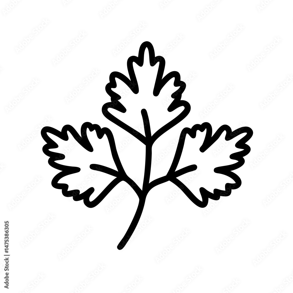 A simple graphic of a cilantro sprig with three leaves in a bold outline style on a white backdrop A simple graphic of a cilantro sprig with three leaves in a bold outline style on a white backdrop