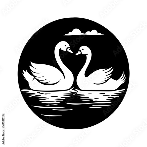 Black and White Swans in Love on a Lake with Clouds Above
