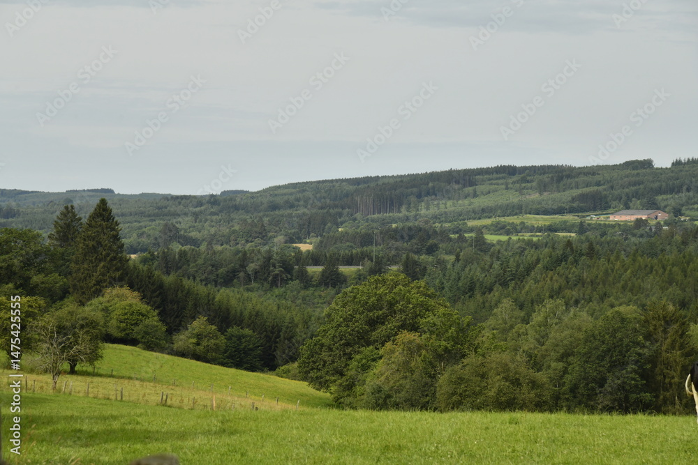 Obraz premium Paysage rural entre prairies et collines boisées à Bra (Lierneux) 