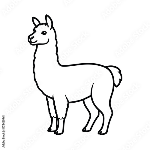 alpaca silhouette vector illustration 